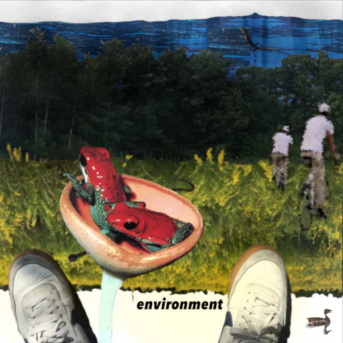 Album cover for Environment by joeyjusbecause